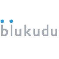 blukudu ltd logo image