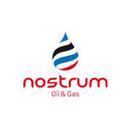 logo of Nostrum Oil Gas