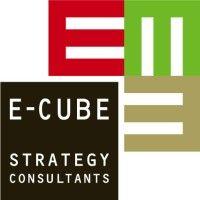 e-cube strategy consultants swiss