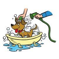 all paws pet wash logo image