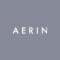 aerin logo image