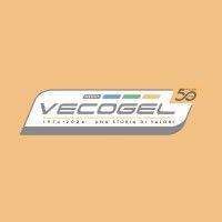 vecogel srl logo image