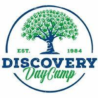 discovery day camp logo image