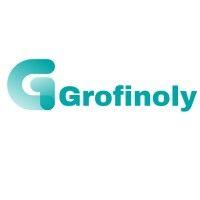 grofinoly financial services logo image