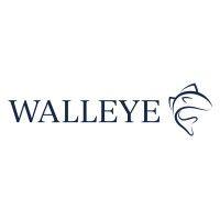 walleye capital logo image