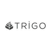 grupo trigo logo image