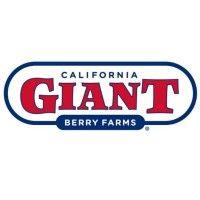 california giant berry farms