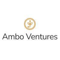 ambo ventures logo image