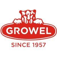 grauer & weil (india) limited