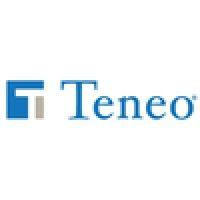 teneo blue rubicon logo image