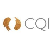 cqi | the chartered quality institute logo image