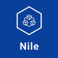 nile logo image