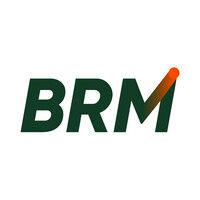 brm group logo image