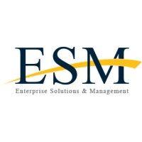 enterprise solutions and management logo image