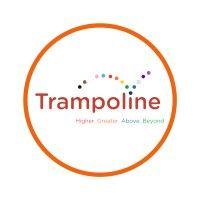 the trampoline group logo image