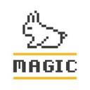 logo of Magic Srl