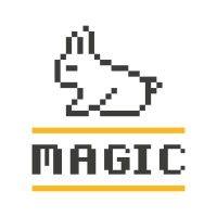 magic srl logo image