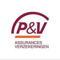 p&v logo image