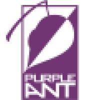 purple ant logo image