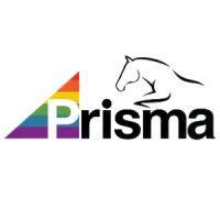 prisma logo image