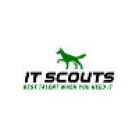 i.t. scouts logo image