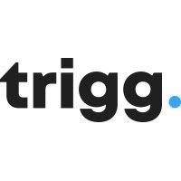 trigg digital logo image