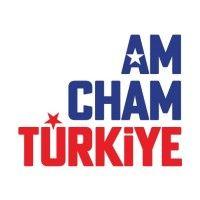 amcham turkiye logo image