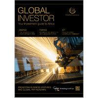 the global investor logo image