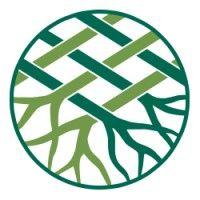 spruce root logo image