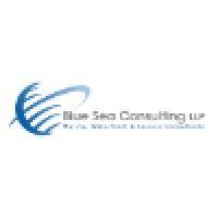 blue sea consulting llp logo image