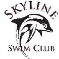 skyline swim club logo image