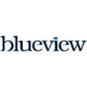 logo of Blueview Group Ltd