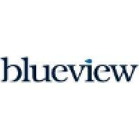 blueview group ltd. logo image