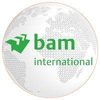 bam international bv logo image