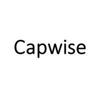 capwise | kun taloudella on väliä logo image