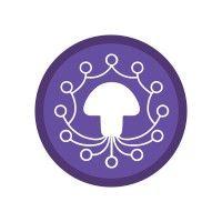 intercollegiate psychedelics network (ipn) logo image