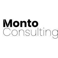 monto consulting logo image