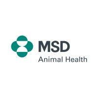 msd animal health israel logo image