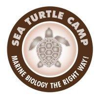 sea turtle camp logo image