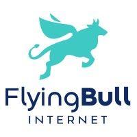 flying bull internet llc logo image