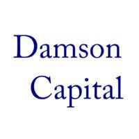 damson capital logo image