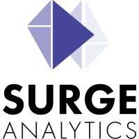 surge analytics inc. logo image