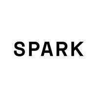 spark logo image