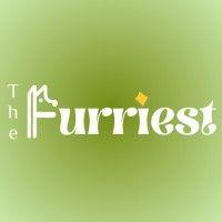 the furriest logo image