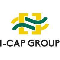 i-cap group ltd logo image