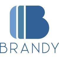 e-brandy studios logo image