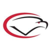 cumberland valley high school logo image