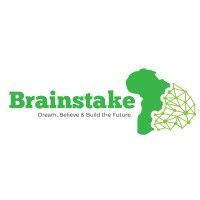 brainstake smart systems zambia