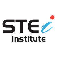 stei institute logo image