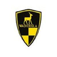 wadi degla investments (k) limited logo image